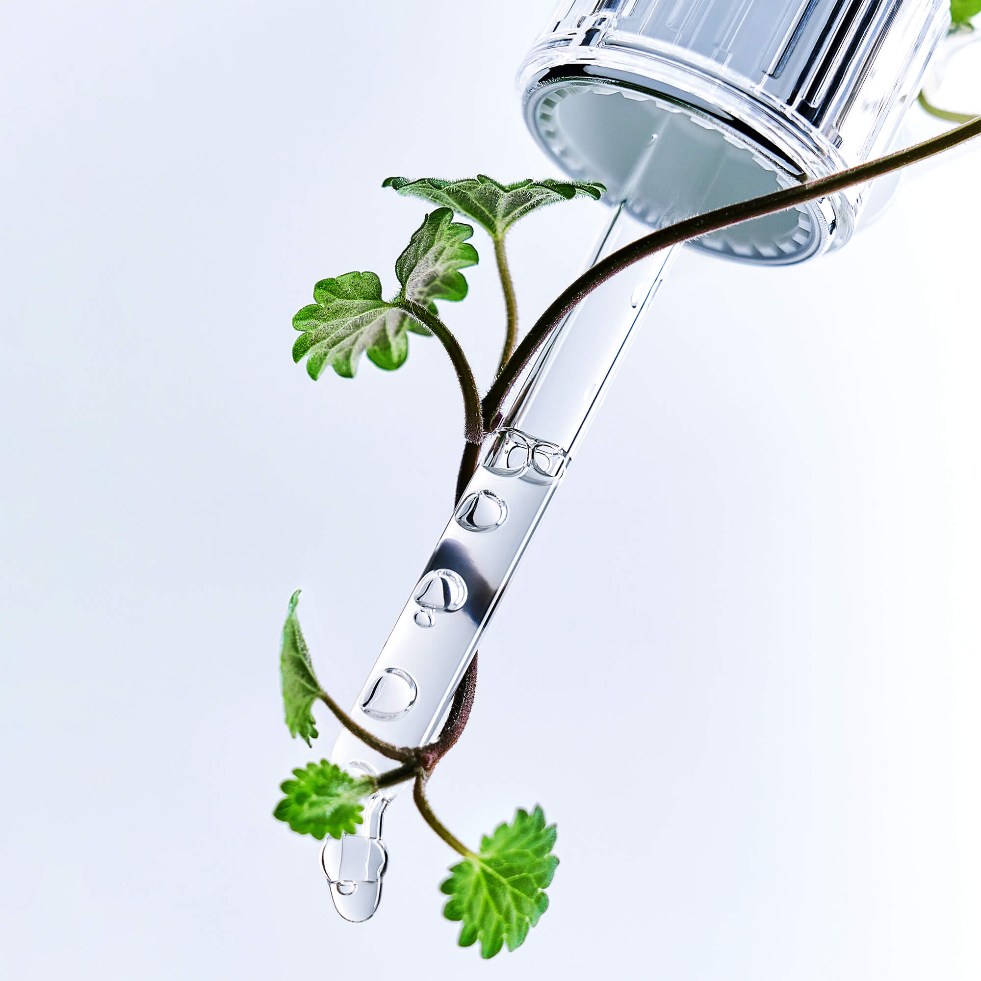 BRINGGREEN Zinc Teca Blemish Serum – Skoncentrowane serum do twarzy przeciw niedoskonałościom 25 ml #10