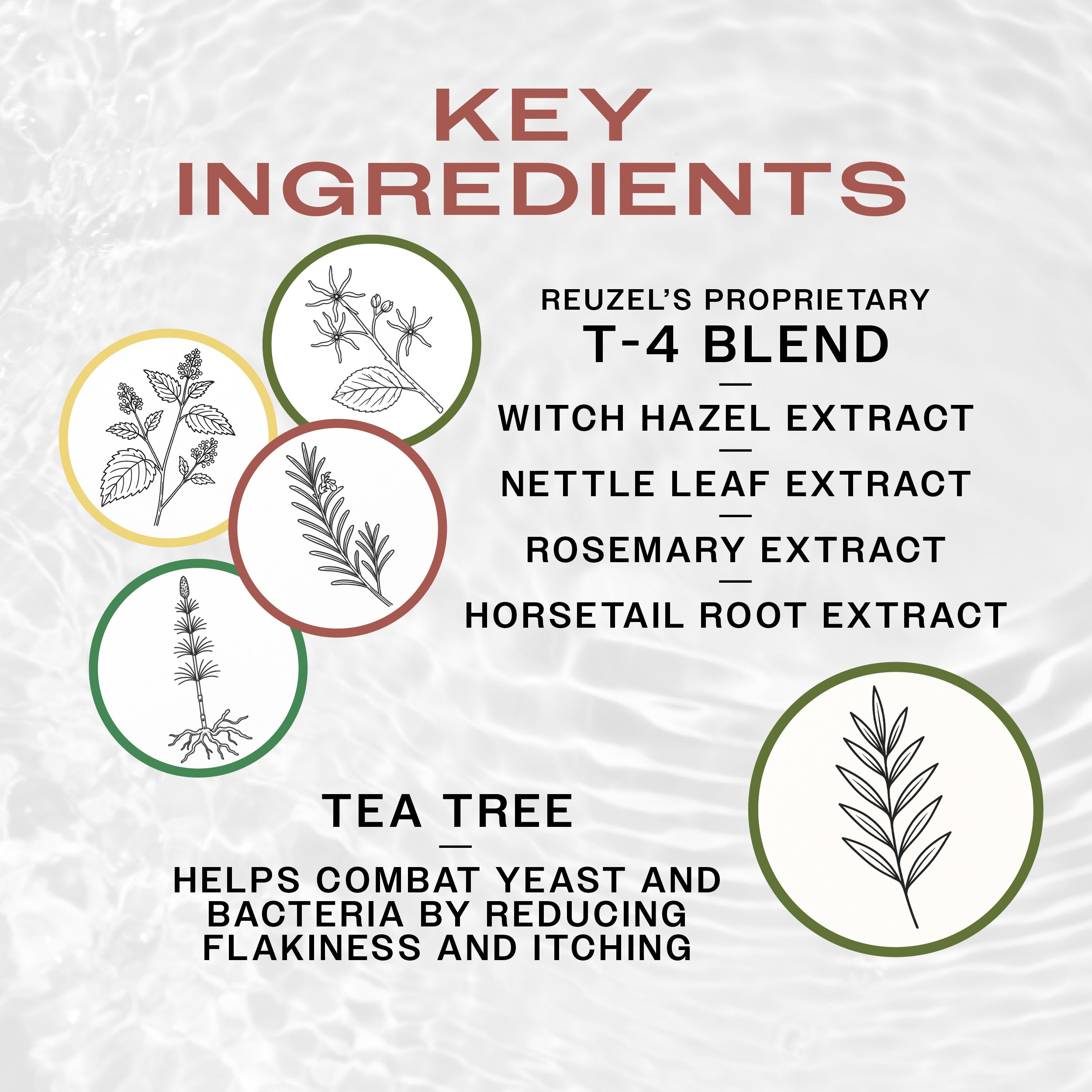 REUZEL 3w1 TEA TREE Szampon do włosów, skóry głowy i ciała 100ml #5
